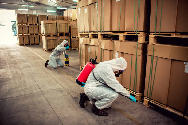Best Best Pest Control Companies  in Silver Lake, OH