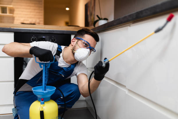 Wasp Removal Services in Silver Lake, OH