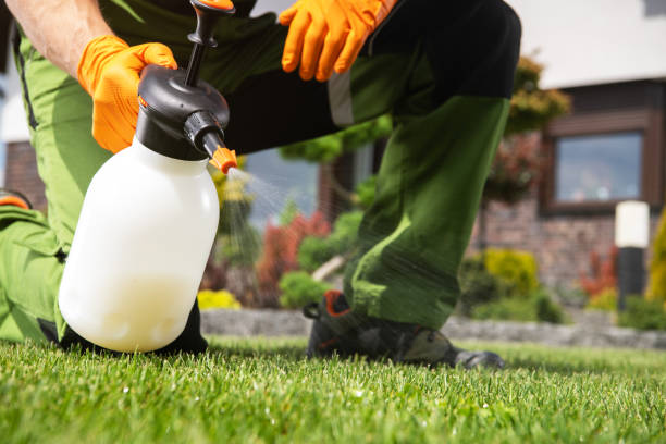 Wildlife Control Services in Silver Lake, OH