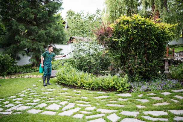 Best Wasp Removal Services  in Silver Lake, OH