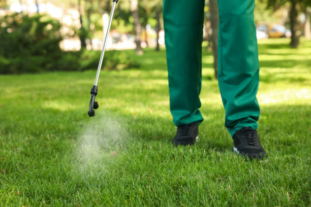 Flea Control Services in Silver Lake, OH