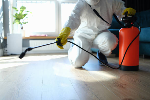 Best Wasp Removal Services  in Silver Lake, OH