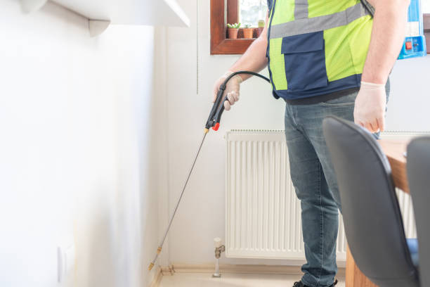 Best Wasp Removal Services  in Silver Lake, OH