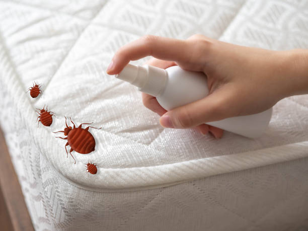 Best Pest Removal Services  in Silver Lake, OH