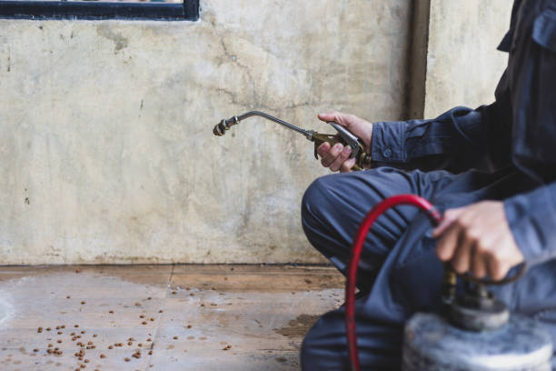 Best Rat Extermination Near Me  in Silver Lake, OH