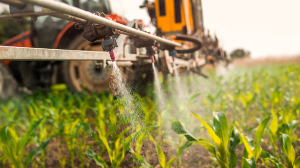 Best Ant Control Services  in Silver Lake, OH